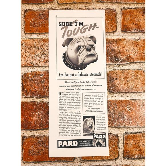 1941 Bulldog Tough but Delicate Stomach Pard Dog‎ Food Vintage Print Ad - Picture 2 of 9